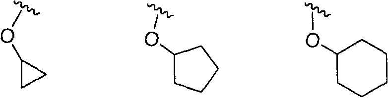 Application of lycorine compounds in the preparation of antitumor drugs