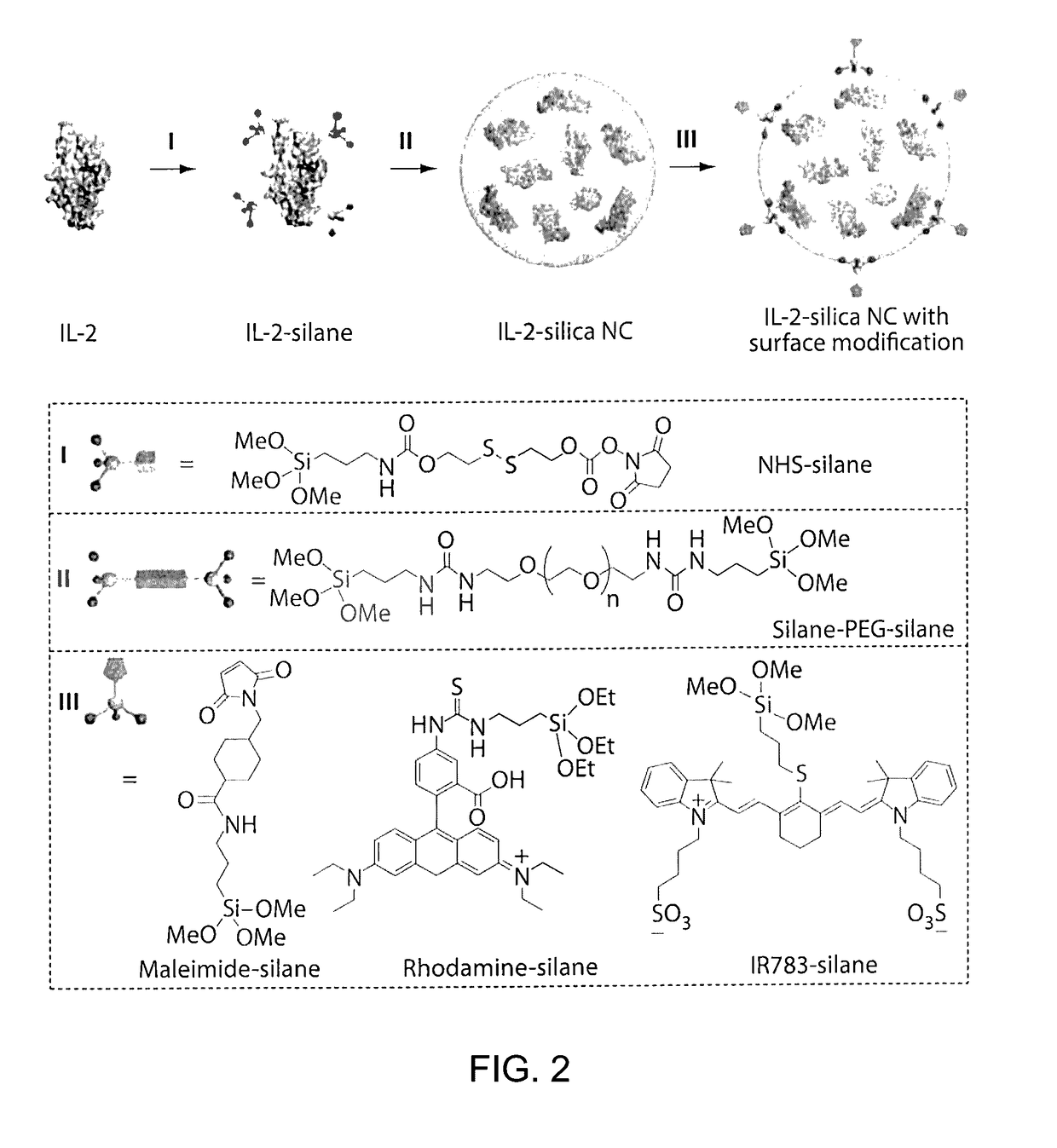 Carrier-free biologically-active protein nanostructures