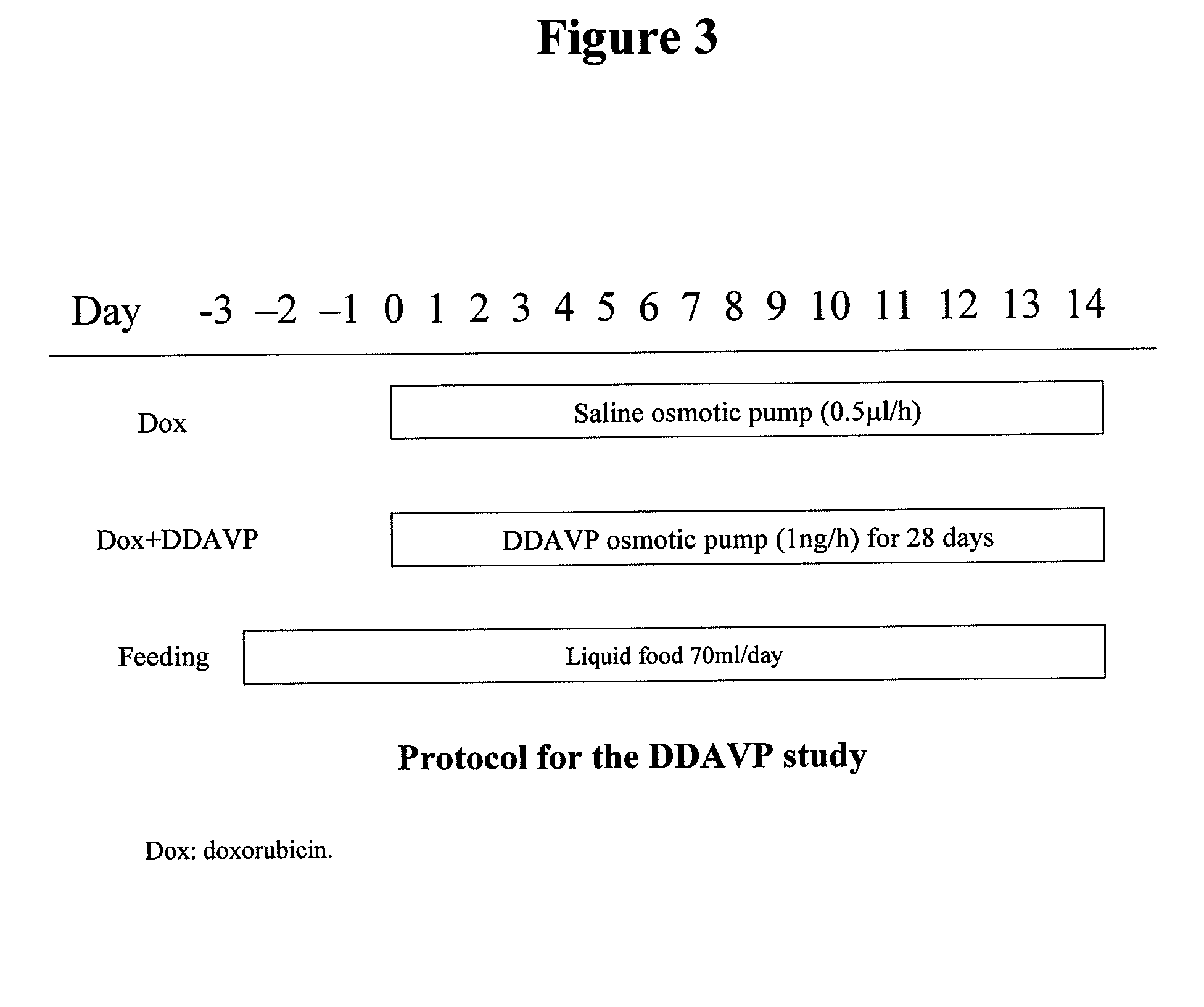 Methods for using vasopressin antagonists with anthracycline chemotherapy agents to reduce cardiotoxicity and/or improve survival