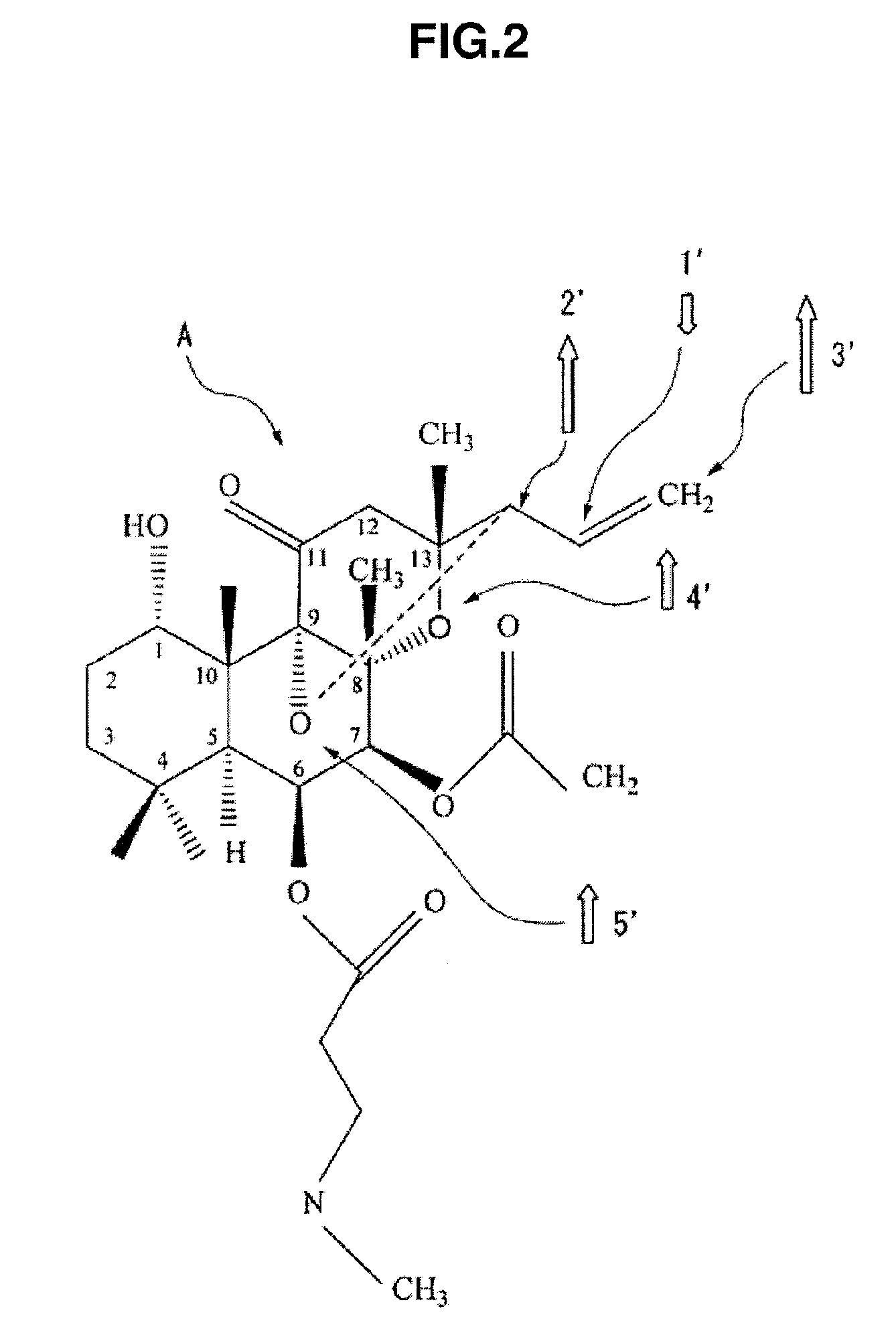 Drug, drug guidance system, magnetic detection system, and drug design method