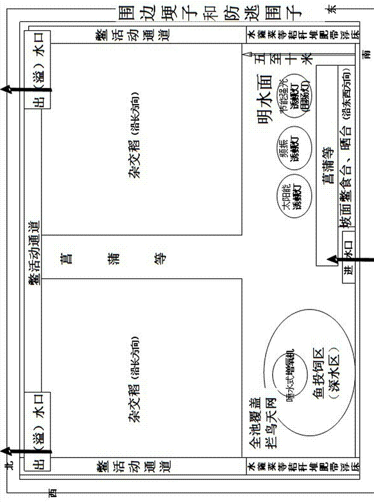 Ecological cycle production system of turtles, fishes, rice and vegetables