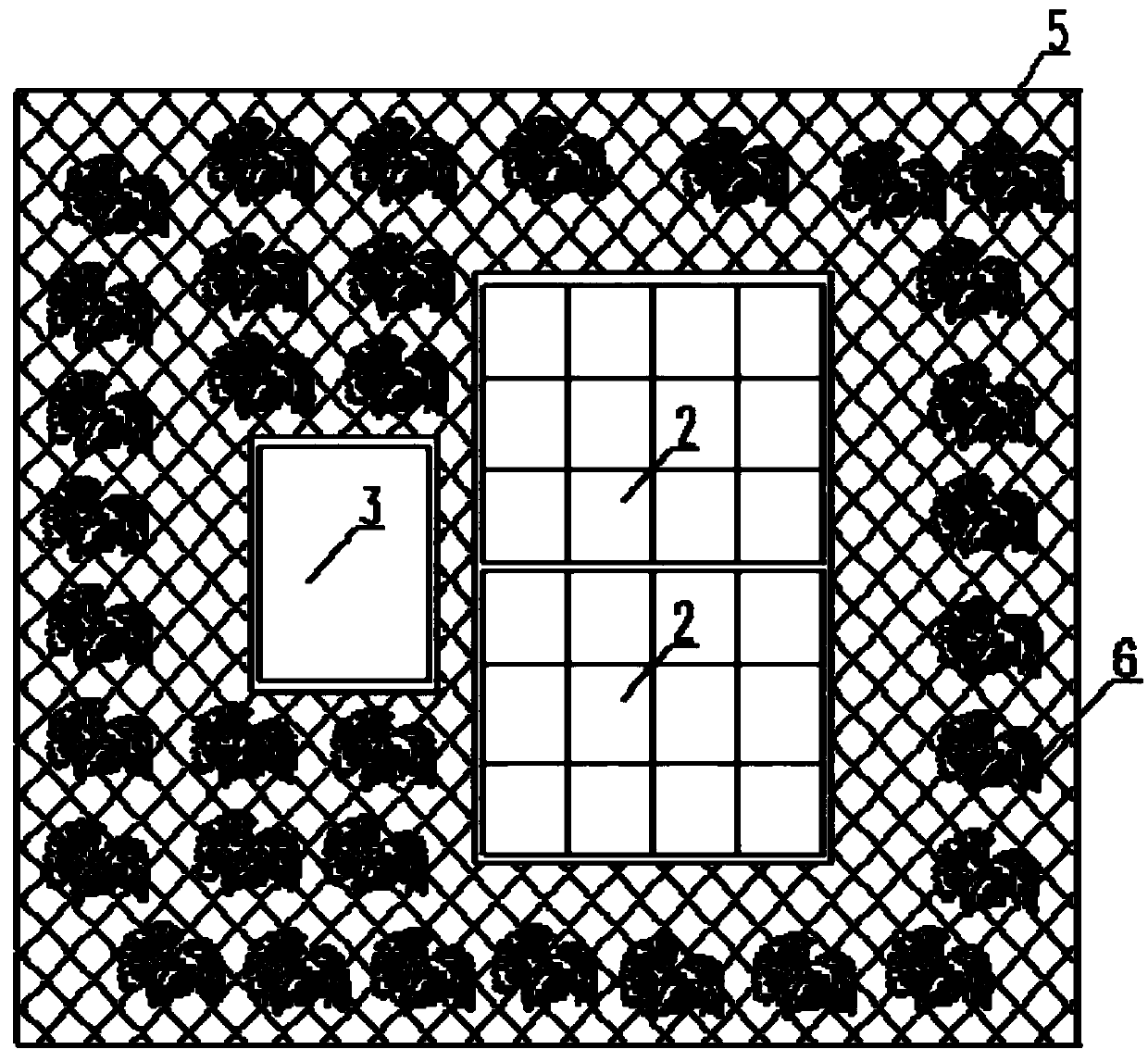 Continuous laminar flow conversion oxygenation and bioaugmentation integrated device for black and odorous water treatment