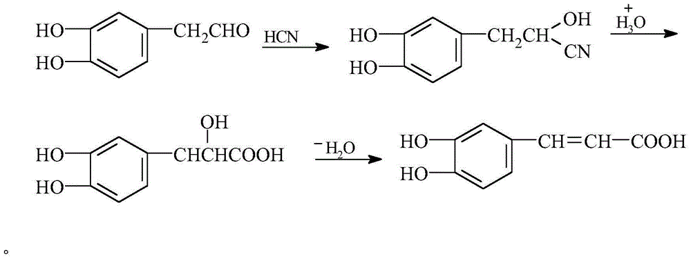 Preparation method of caffeic acid