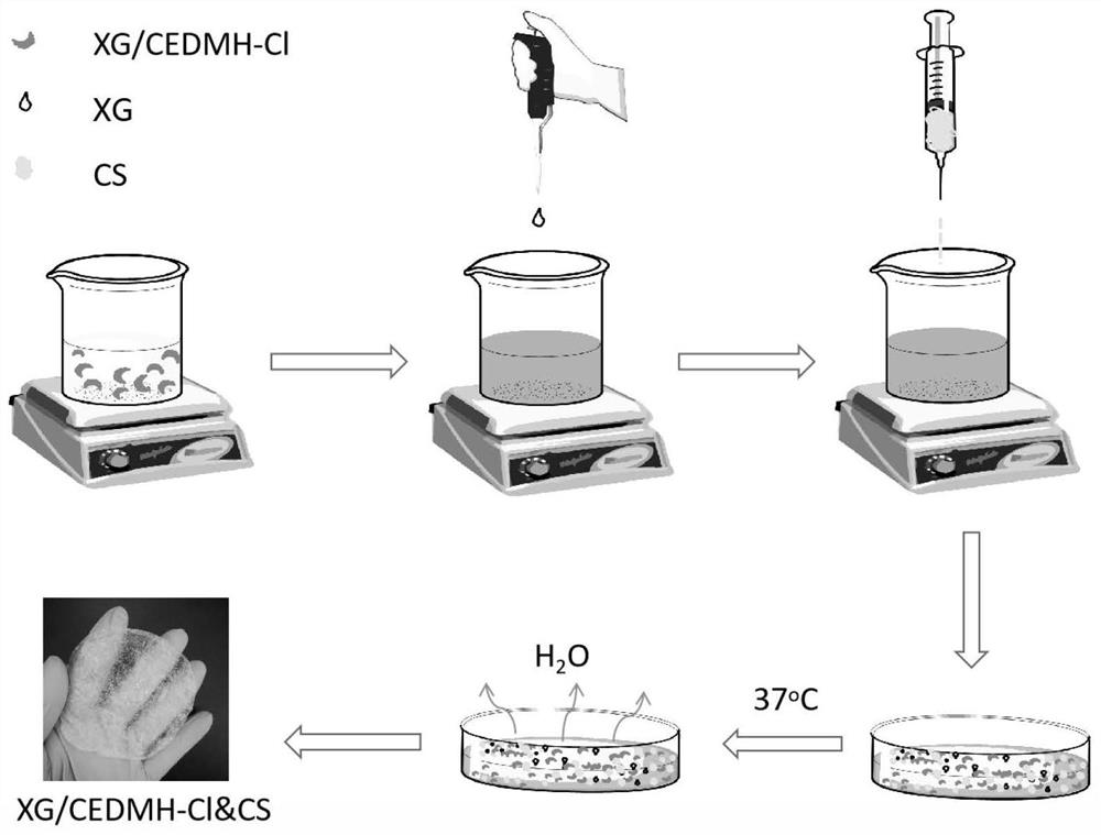 Haloamine modified xanthan gum/chitosan composite antibacterial dressing and preparation method thereof