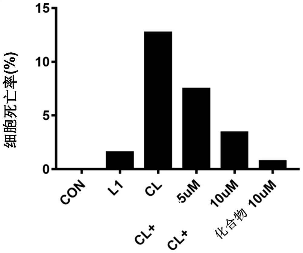 Application of amide compound in preparation of drug for treating sepsis