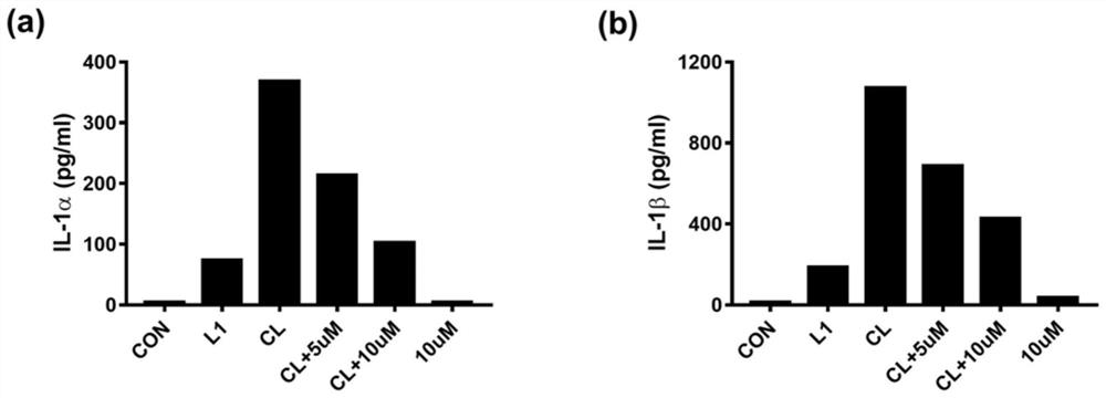 Application of amide compound in preparation of drug for treating sepsis