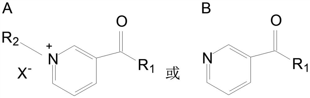 Application of nicotinic acid derivatives in relieving female reproductive system aging injury