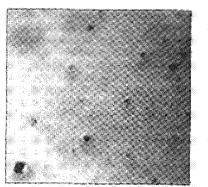 Automatic measurement method for separated-out particles in steel and morphology classification method thereof