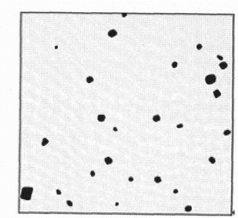 Automatic measurement method for separated-out particles in steel and morphology classification method thereof