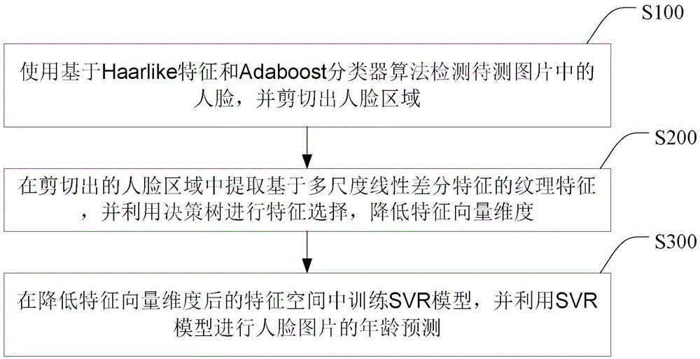 Age estimation method and system based on multi-scale linear differential textural features