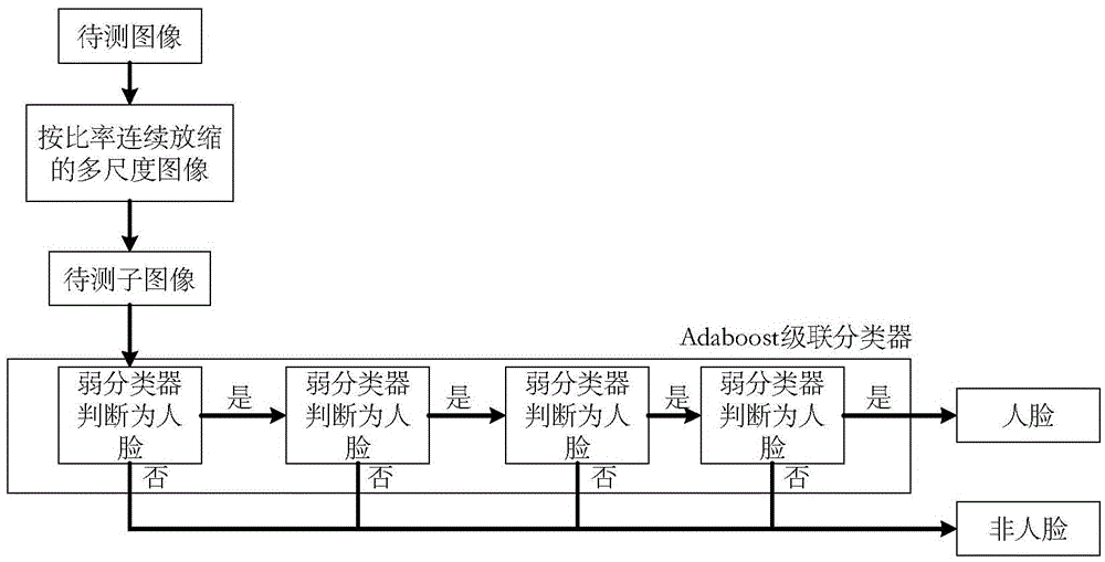 Age estimation method and system based on multi-scale linear differential textural features