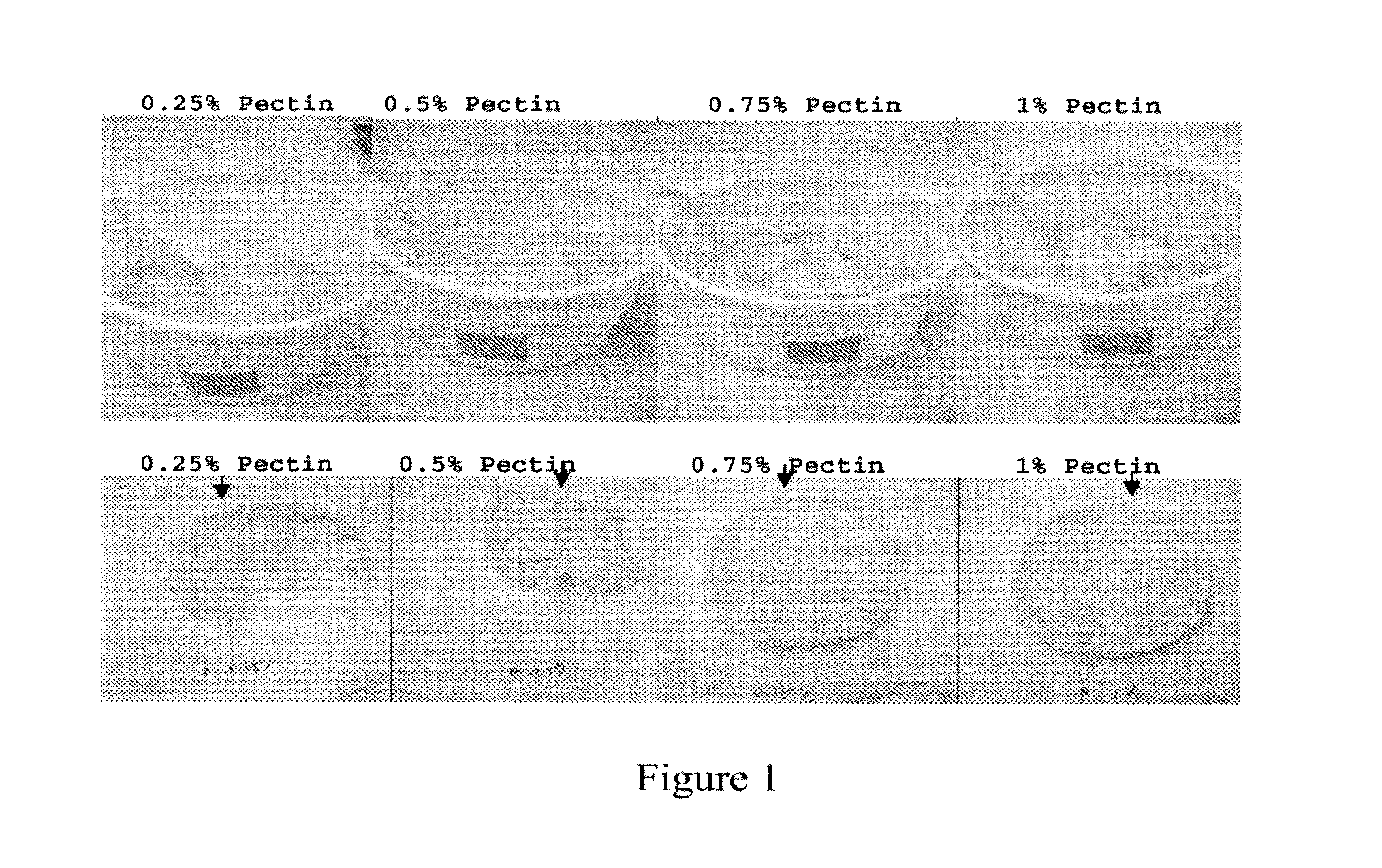 Edible polymer based food system