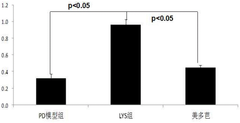 Application of chlorogenic acid in preparation of medicines for treating parkinson disease