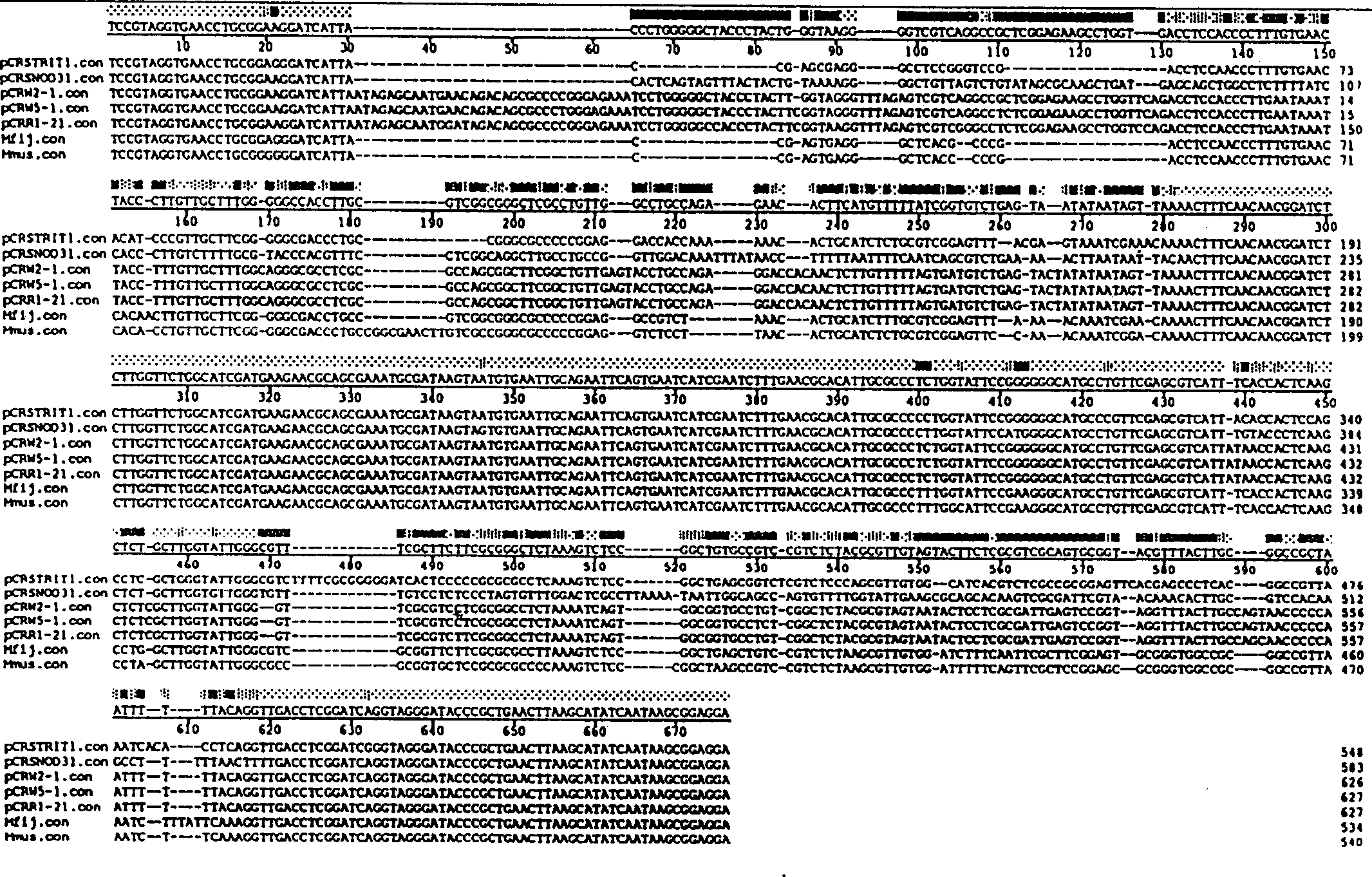 Detection of fungal pathogens using polymerase chain reaction