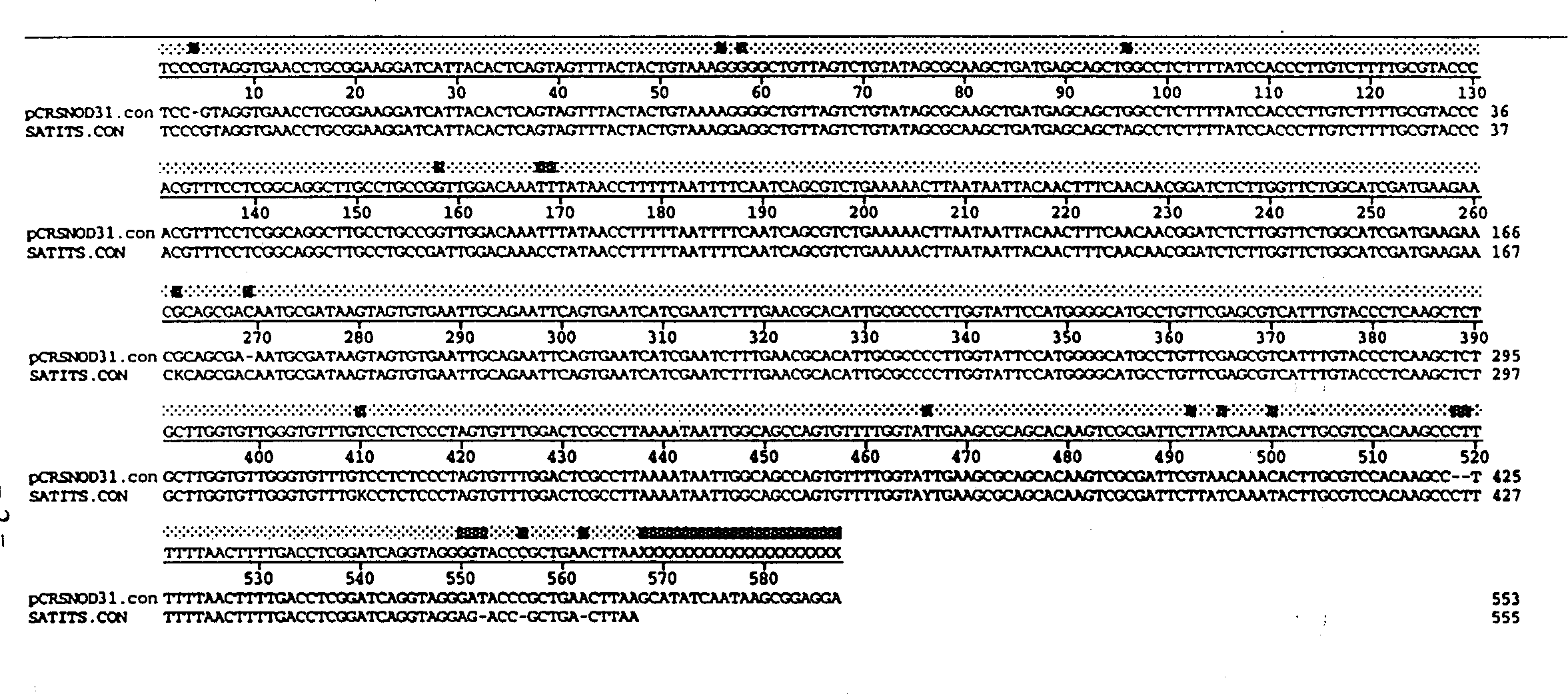 Detection of fungal pathogens using polymerase chain reaction