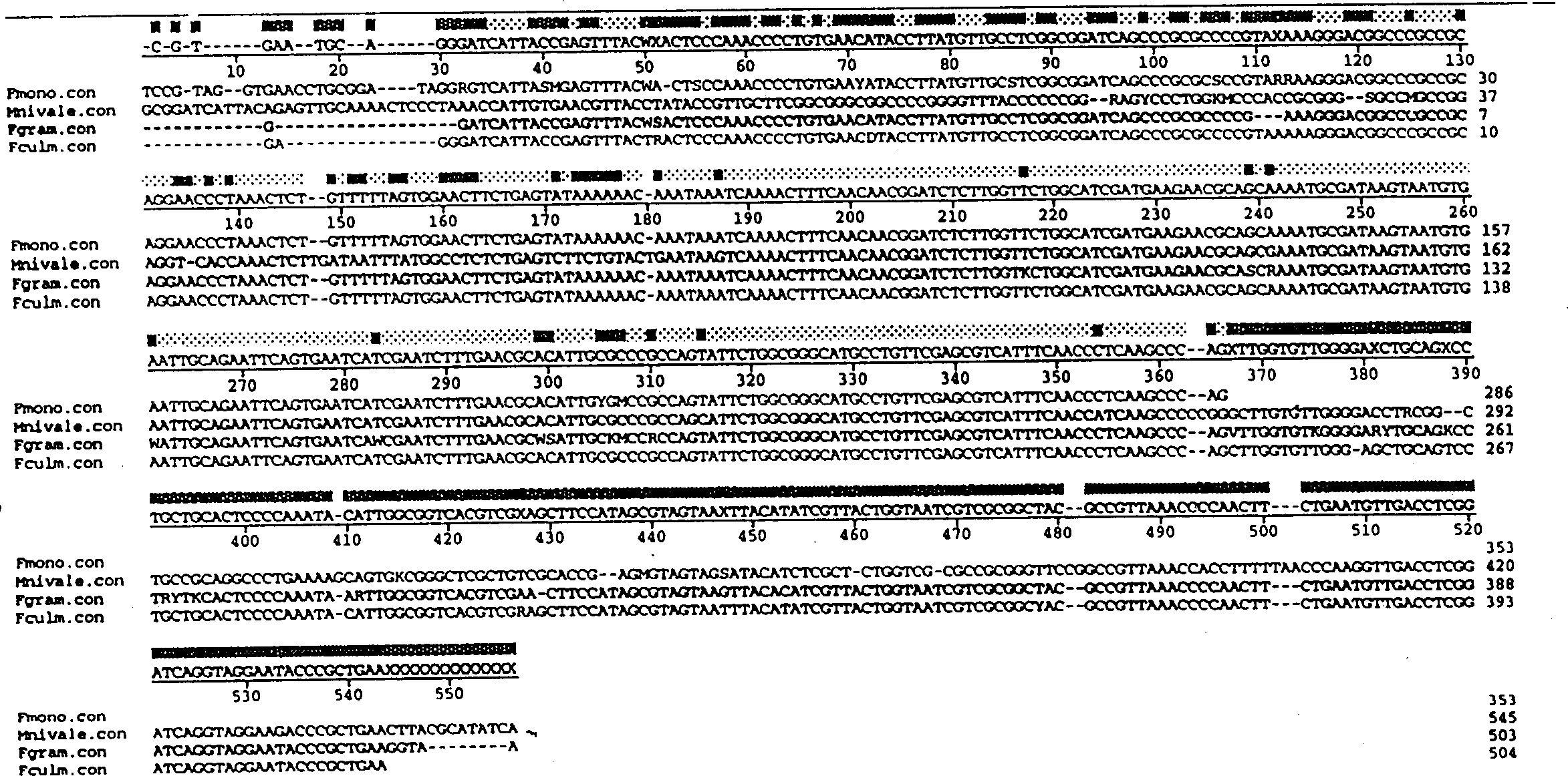 Detection of fungal pathogens using polymerase chain reaction