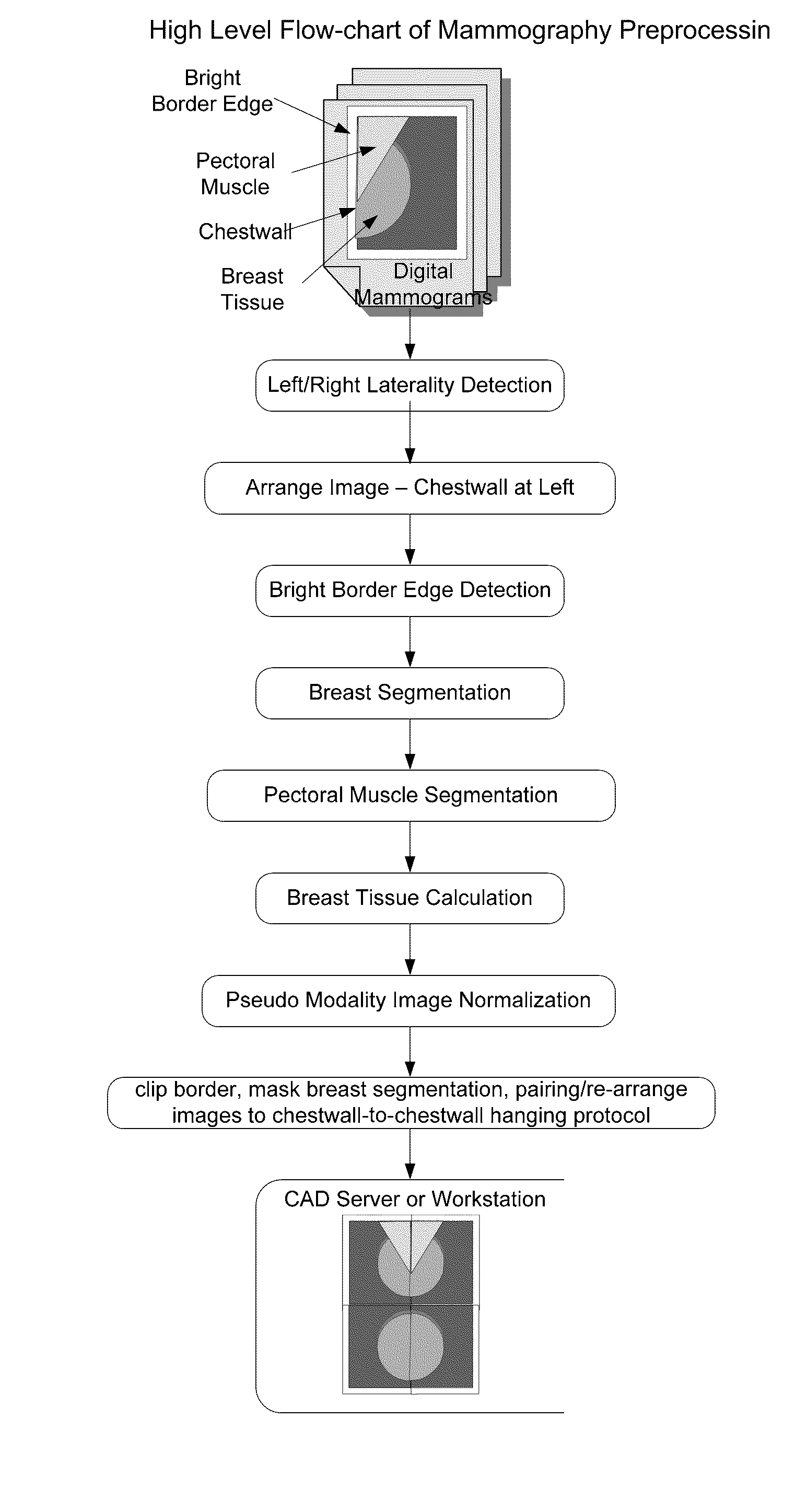 Fast preprocessing algorithms for digital mammography CAD and workstation