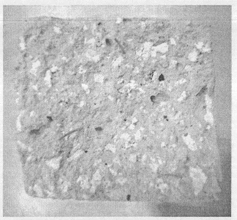 Light thermal-shield refractory castable