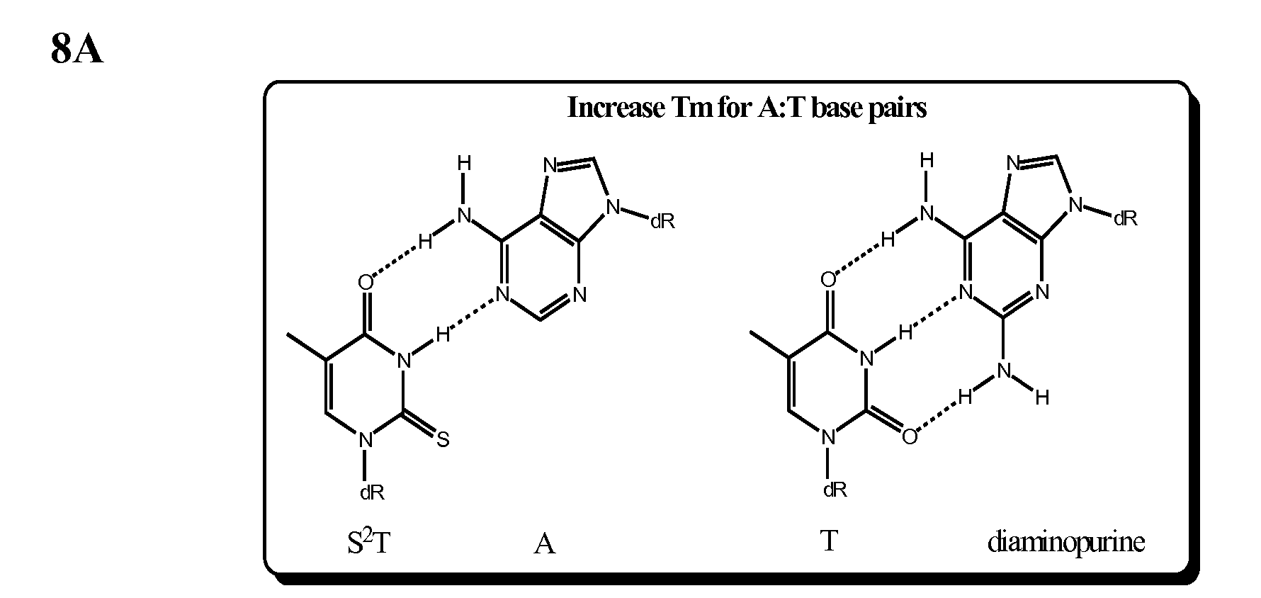 Methods and Compounds For Chemical Ligation