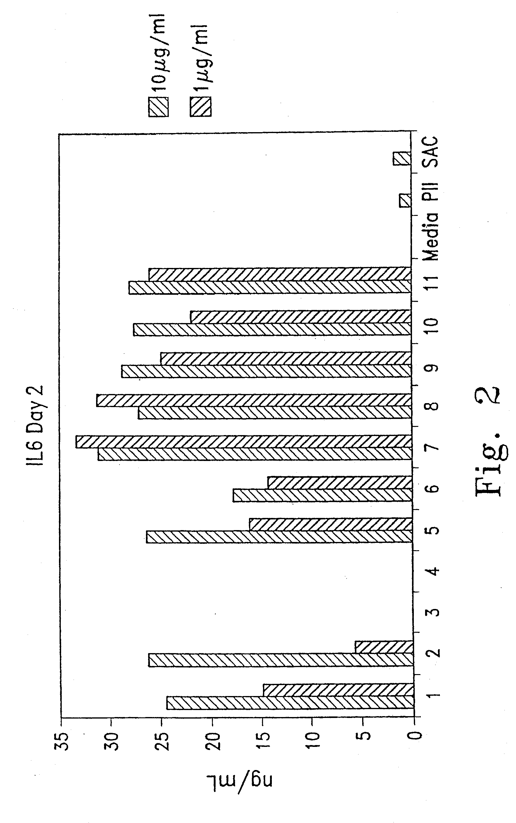 Immunostimulatory oligonucleotides with modified bases and methods of use thereof