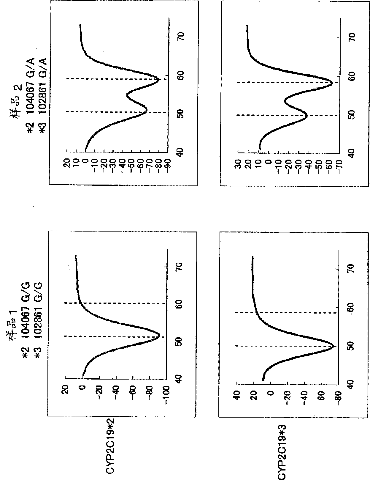 Primer set for amplification of CYP2C19 gene, reagent for amplification of CYP2C19 gene comprising the same, and use of the same