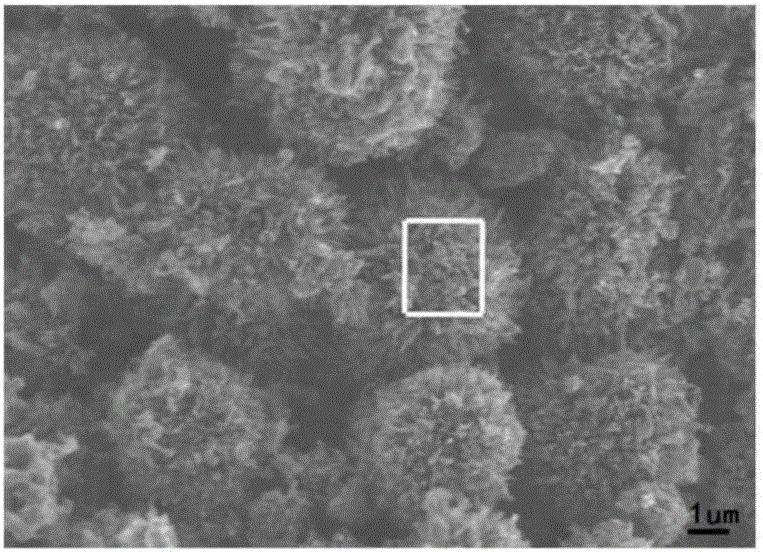 Porous carbon flower adsorbing material and preparation method and application thereof