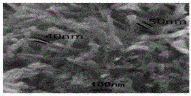 Porous carbon flower adsorbing material and preparation method and application thereof