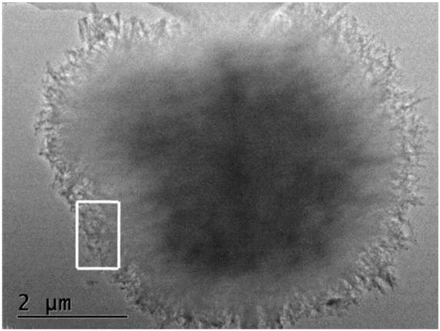 Porous carbon flower adsorbing material and preparation method and application thereof