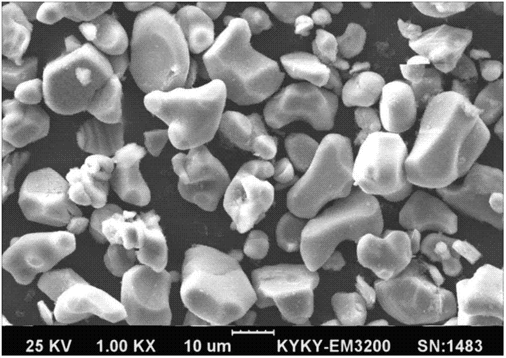 Surface composite coated anode material, preparation method thereof and lithium ion battery