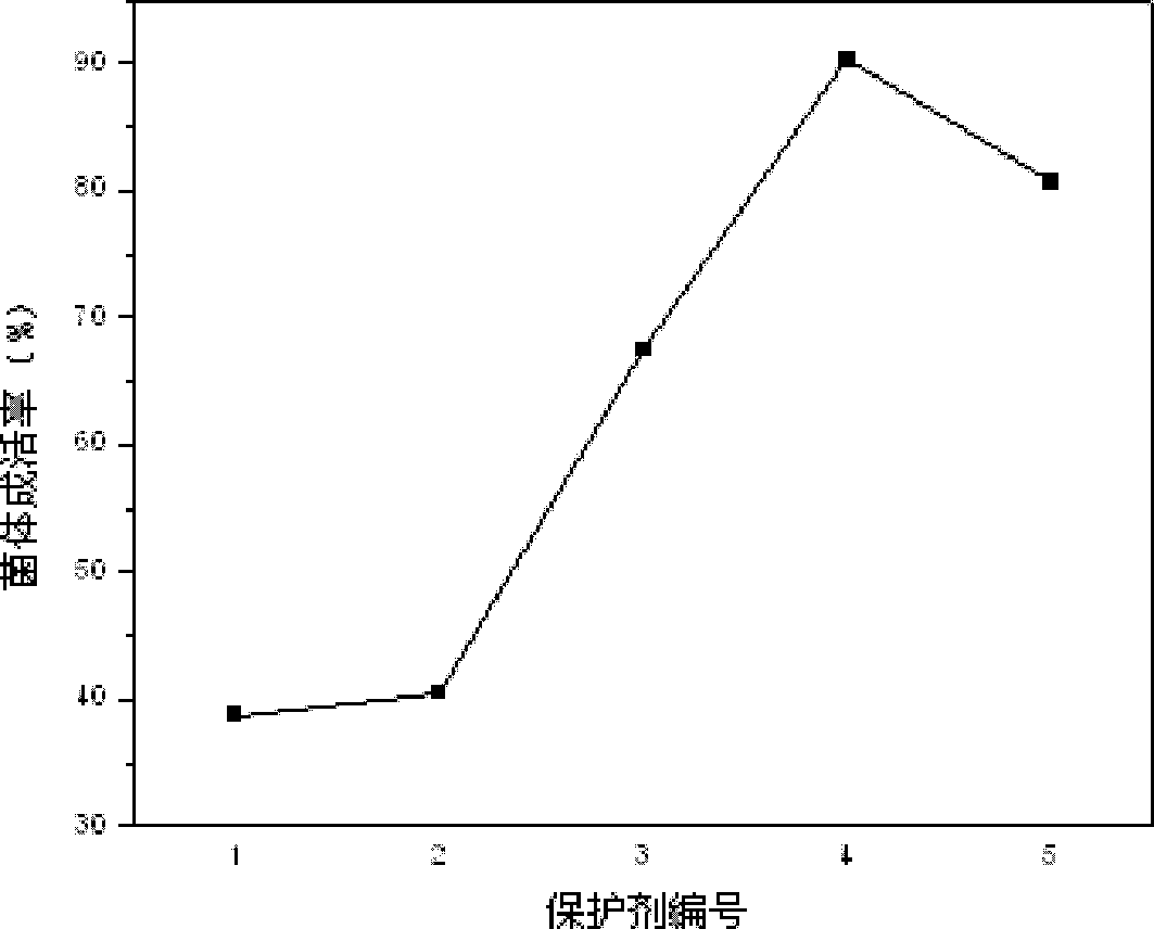 Method for preparing directed vat set bacillus coagulans starter