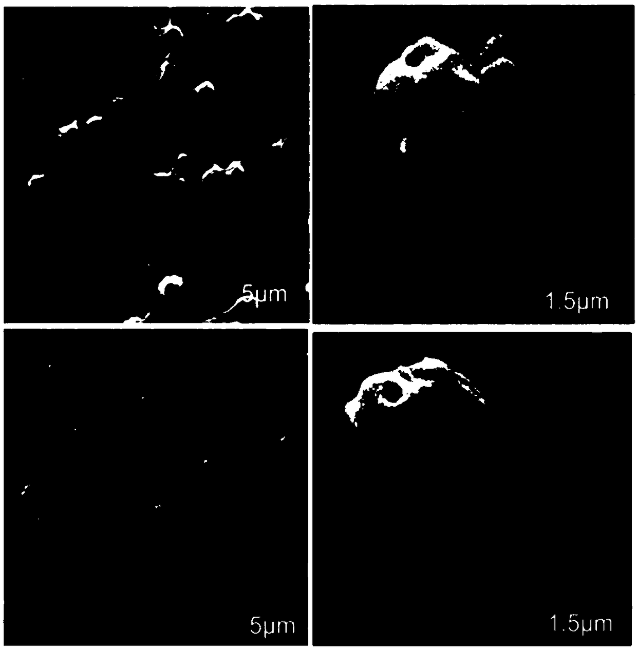 Novel method for drug loading system constructed by means of sensitization blood platelets for treating immune thrombocytopenia