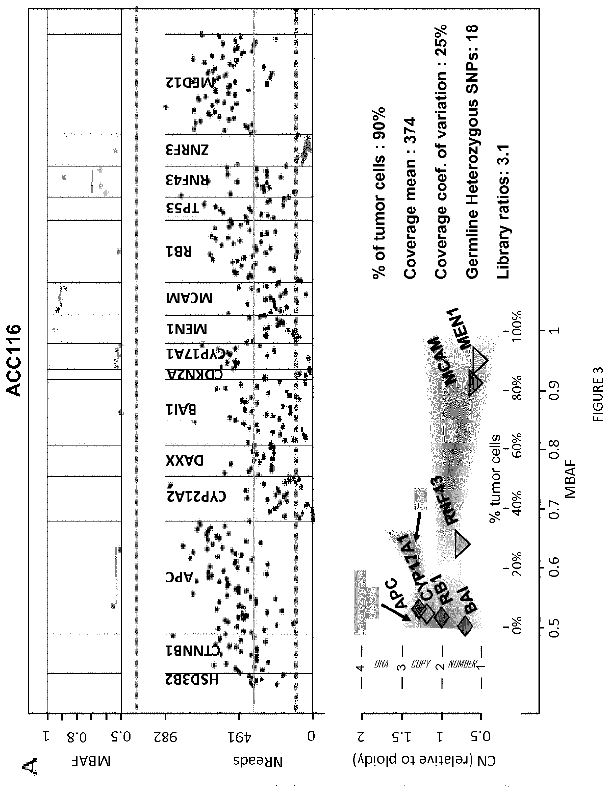 Method for molecular typing of tumors in a single targeted next generation sequencing experiment