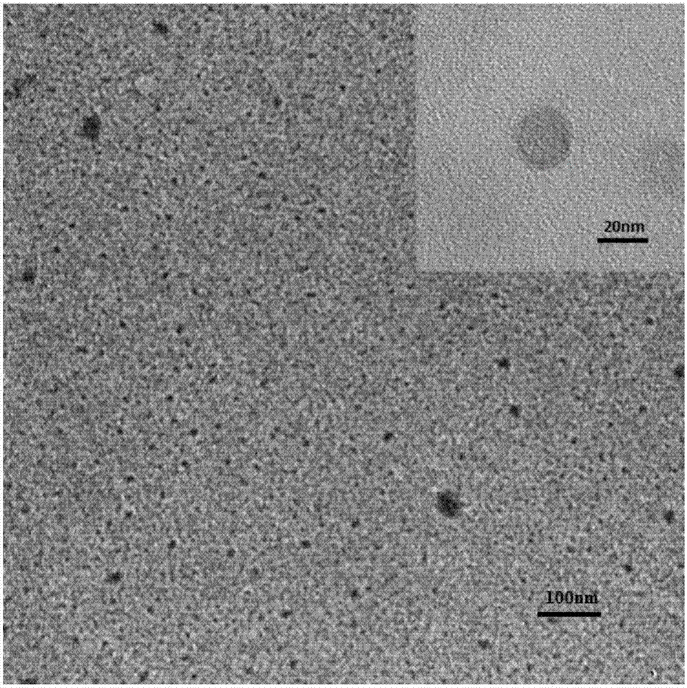 Fluorescent large-grain-size dendrimer and preparation method thereof