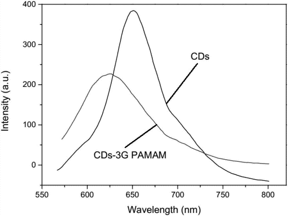 Fluorescent large-grain-size dendrimer and preparation method thereof