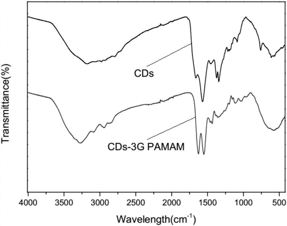 Fluorescent large-grain-size dendrimer and preparation method thereof