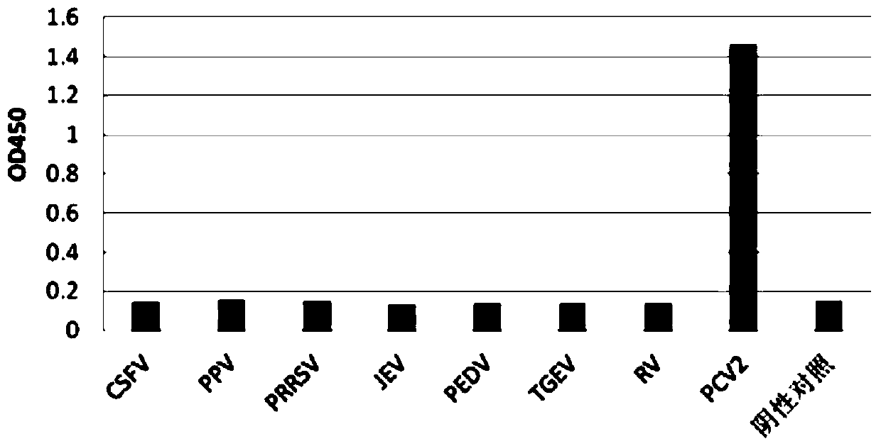 Porcine circovirus type 2 double antibody sandwich ELISA reagent kit and application thereof