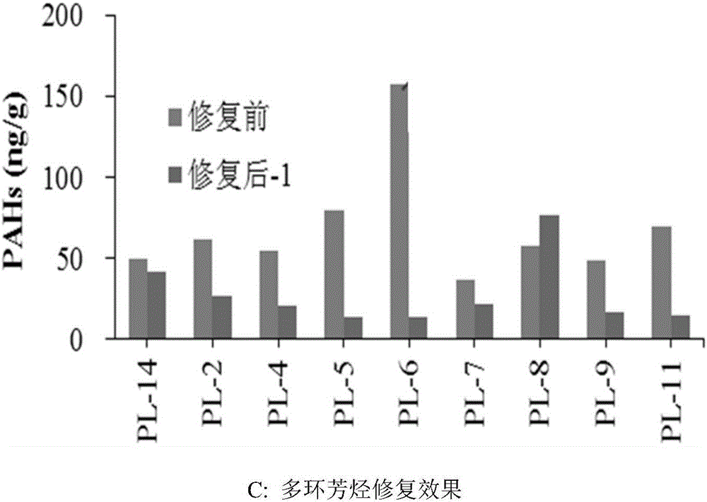 Method for repairing sediment pollution in open sea area