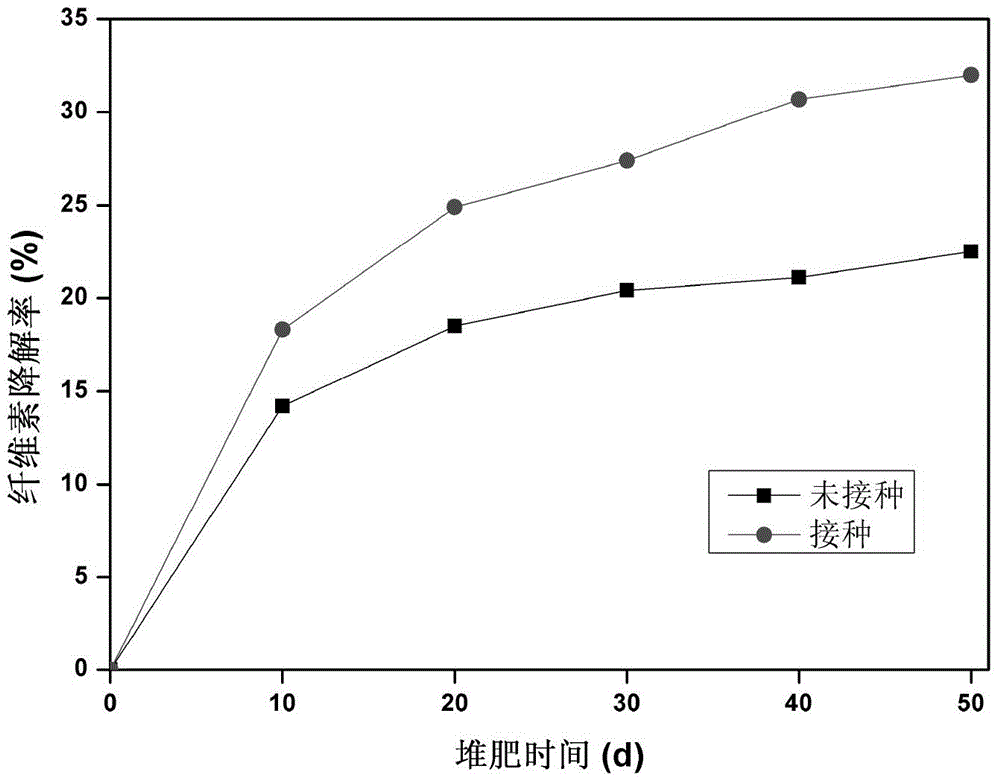 High-temperature cellulose degradation bacterium and application thereof