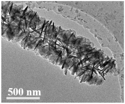 Copper-cobalt-zinc composite self-supporting nano array electrode material and preparation method and application thereof