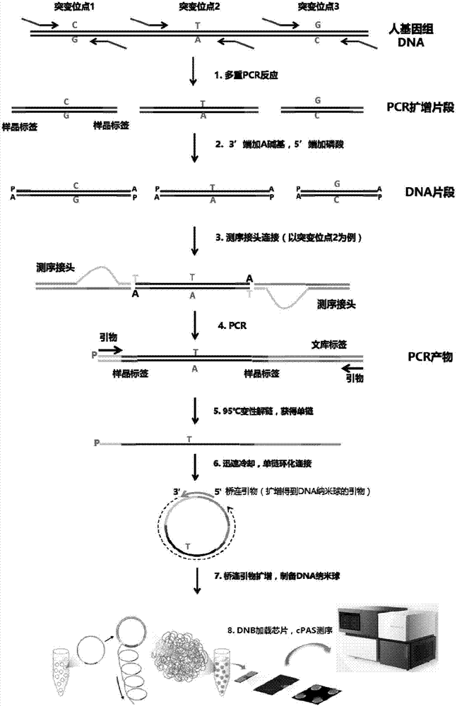 Library building kit for detecting hereditary deafness genes and application