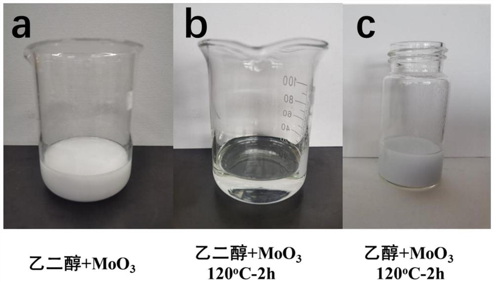 Mo-doped MoO3@ZnIn2S4 Z system photocatalyst as well as preparation method and application thereof