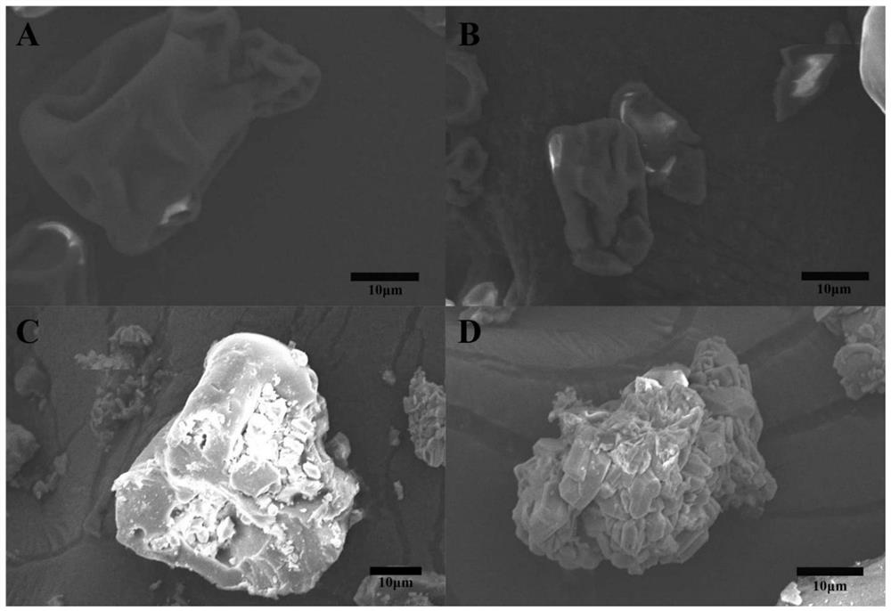 A kind of slow/controlled release fertilizer prepared based on natural protein and its preparation method and application