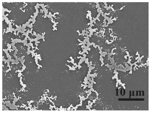 Dendritic self-similar metal-organic framework composites and their preparation and application