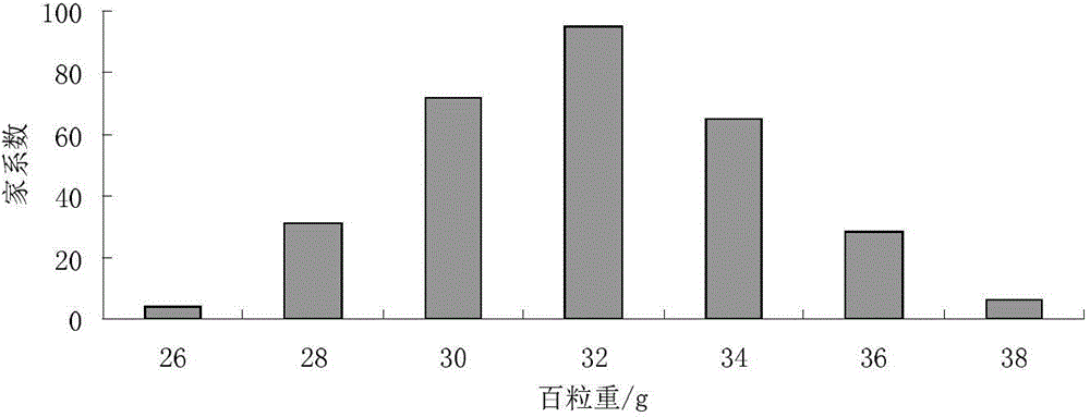 Molecular marker for regulating main effect QTL (quantitative trait loci) of hundred-grain weight of corn and application of molecular marker