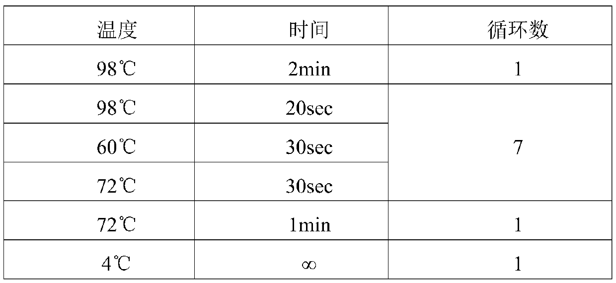 Probe pool for detecting NTRK-1-2-3 fusion gene variation based on NGS method and kit thereof