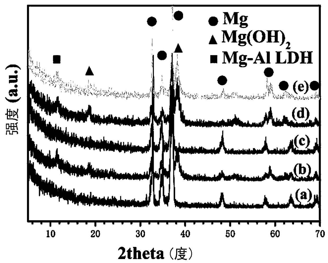 Mytilopsis surface modified magnesium alloy and preparation method and application thereof