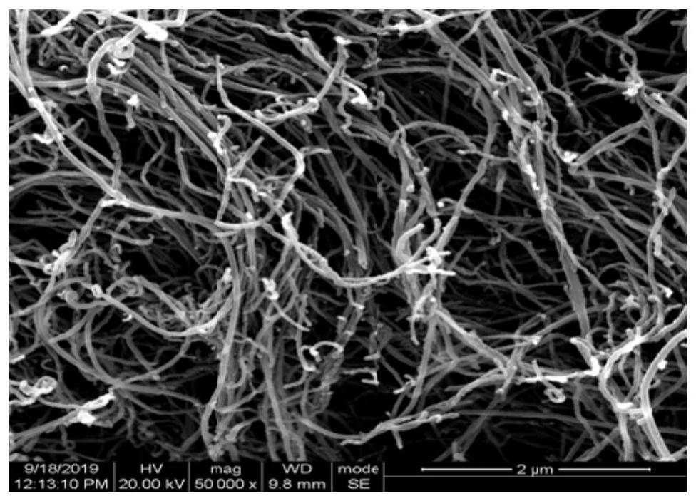 Carbon nanotube, device and purification method purified by gas phase damping method