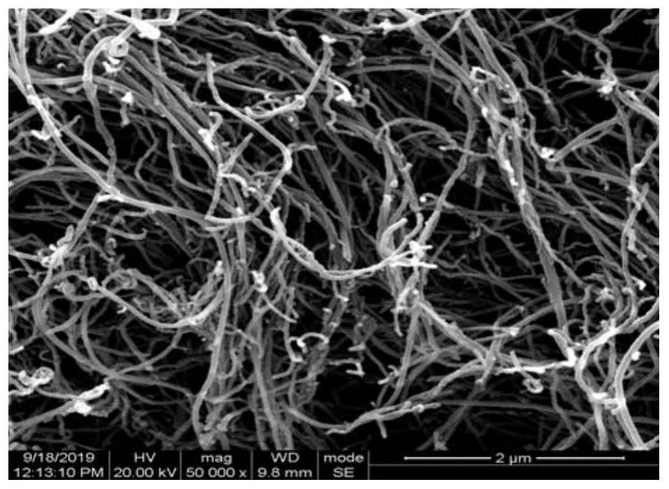 Carbon nanotube, device and purification method purified by gas phase damping method