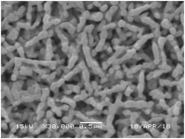 Preparing method for cobalt-phosphide-modified molybdenum-doped bismuth vanadate photoelectrode