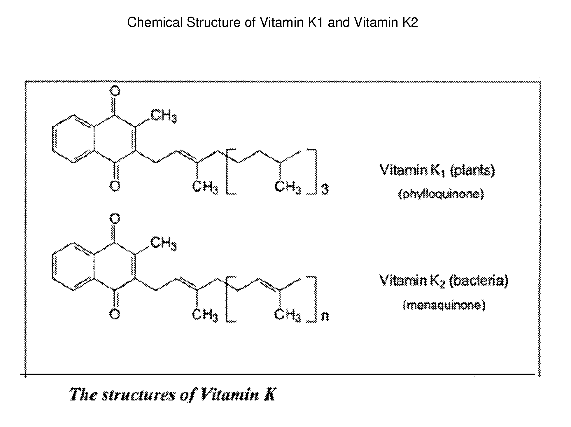 Compositions and methods for the treatment and/or prevention of osteoporosis